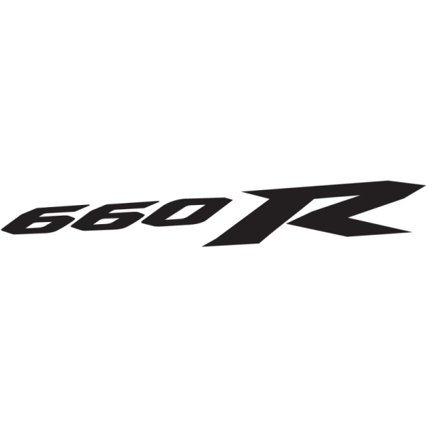 Sticker Autocollant yamaha 660r moto AN87320