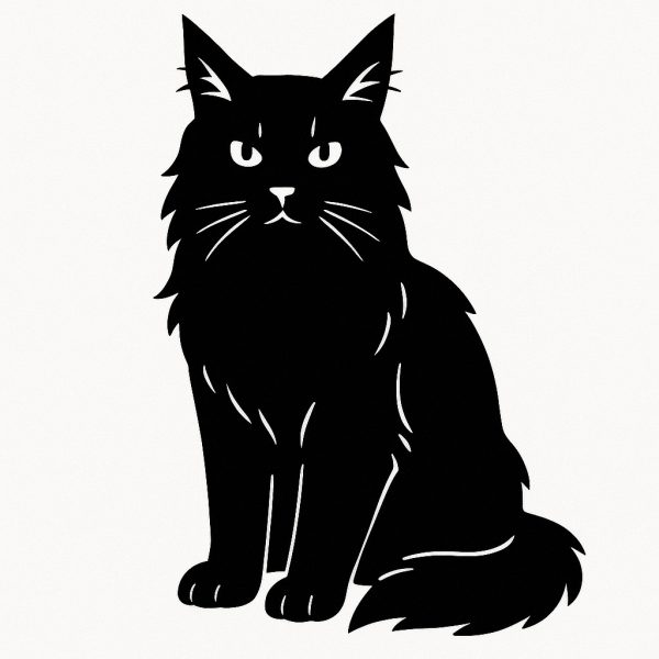 Sticker autocollant Maincoon chat décoration decostickerstore -