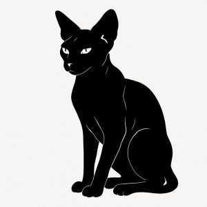 Sticker autocollant SPHYNX chat décoration decostickerstore - 
